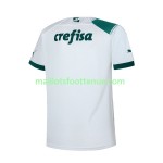 Maillot/Tenue Palmeiras Exterieur 2023/2024